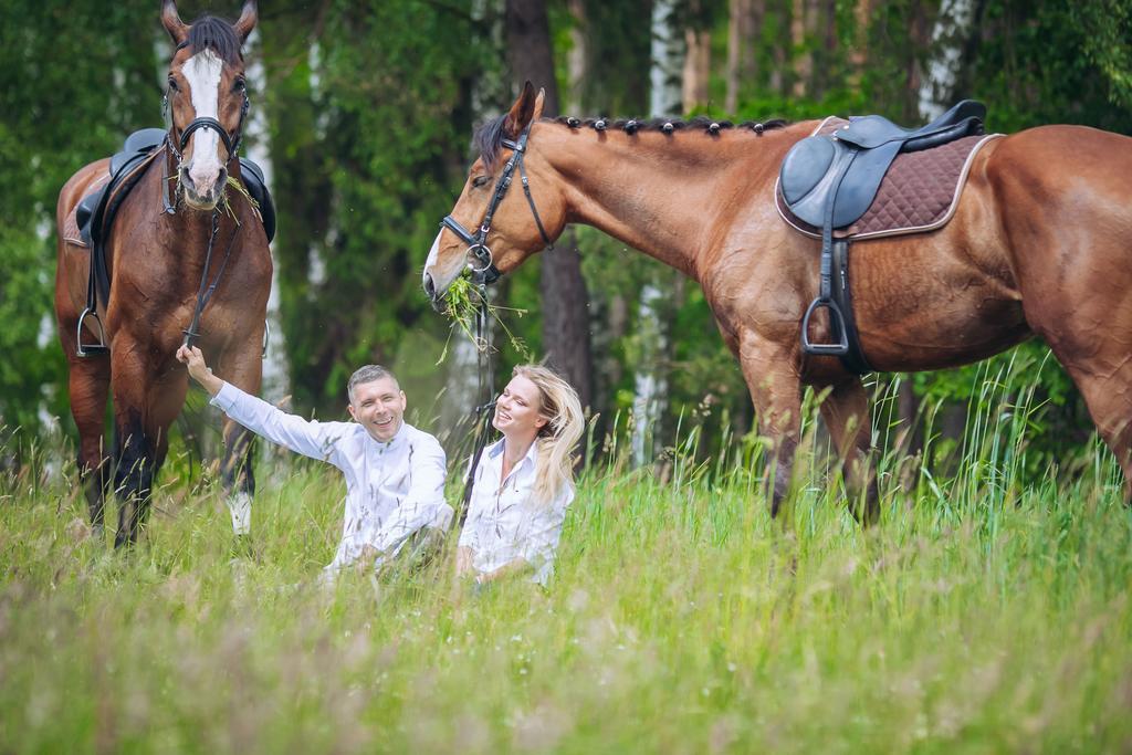 Hubertus Aparthotel & Restaurant & Horse Club Starogard Gdanski Bilik gambar