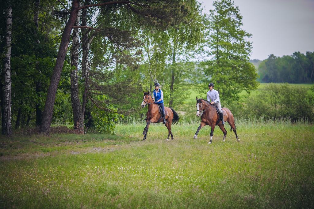 Hubertus Aparthotel & Restaurant & Horse Club Starogard Gdanski Luaran gambar