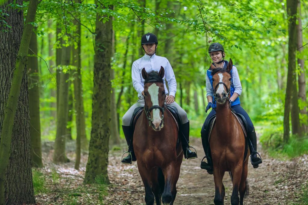 Hubertus Aparthotel & Restaurant & Horse Club Starogard Gdanski Bilik gambar