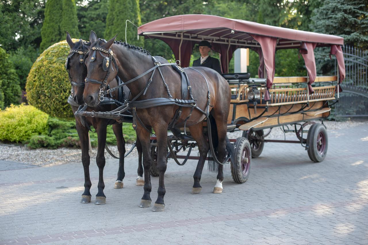 Hubertus Aparthotel & Restaurant & Horse Club Starogard Gdanski Luaran gambar