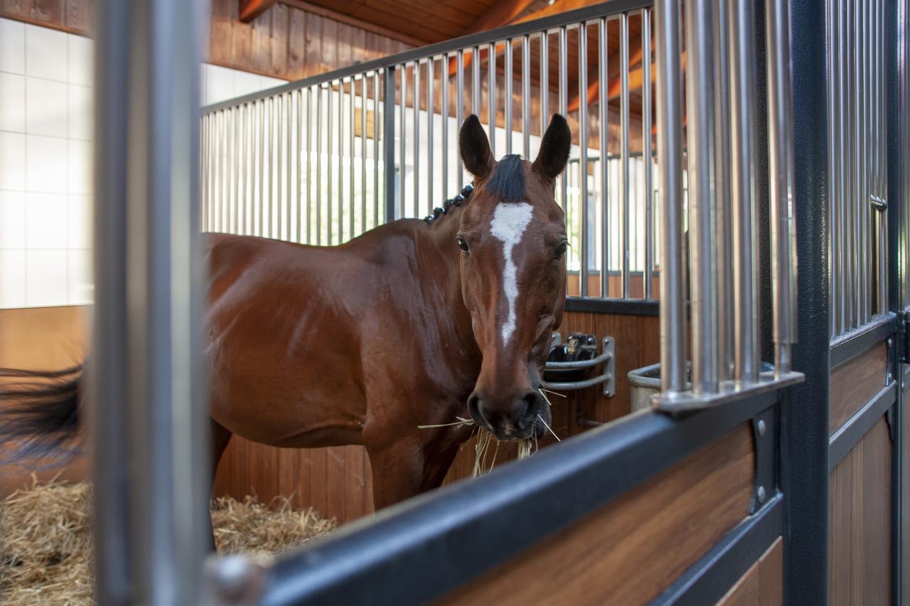 Hubertus Aparthotel & Restaurant & Horse Club Starogard Gdanski Luaran gambar